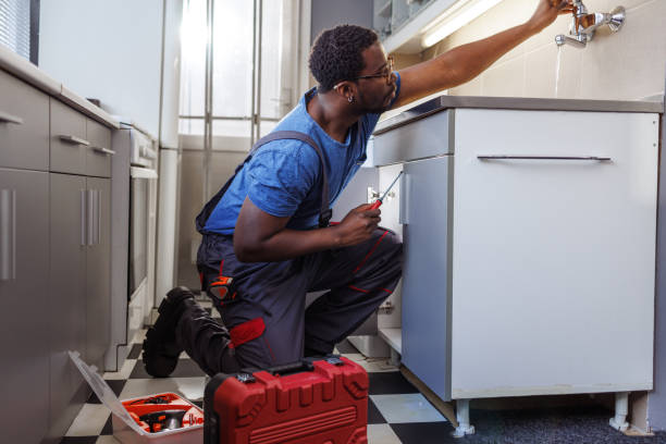  New Buffalo, MI Plumbing Pros